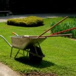 Hvordan lage en vedlikeholdsfri hage som varer